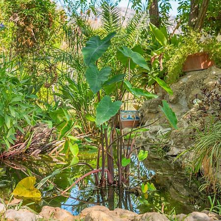 Finca Alqueria Campanet Bagian luar foto