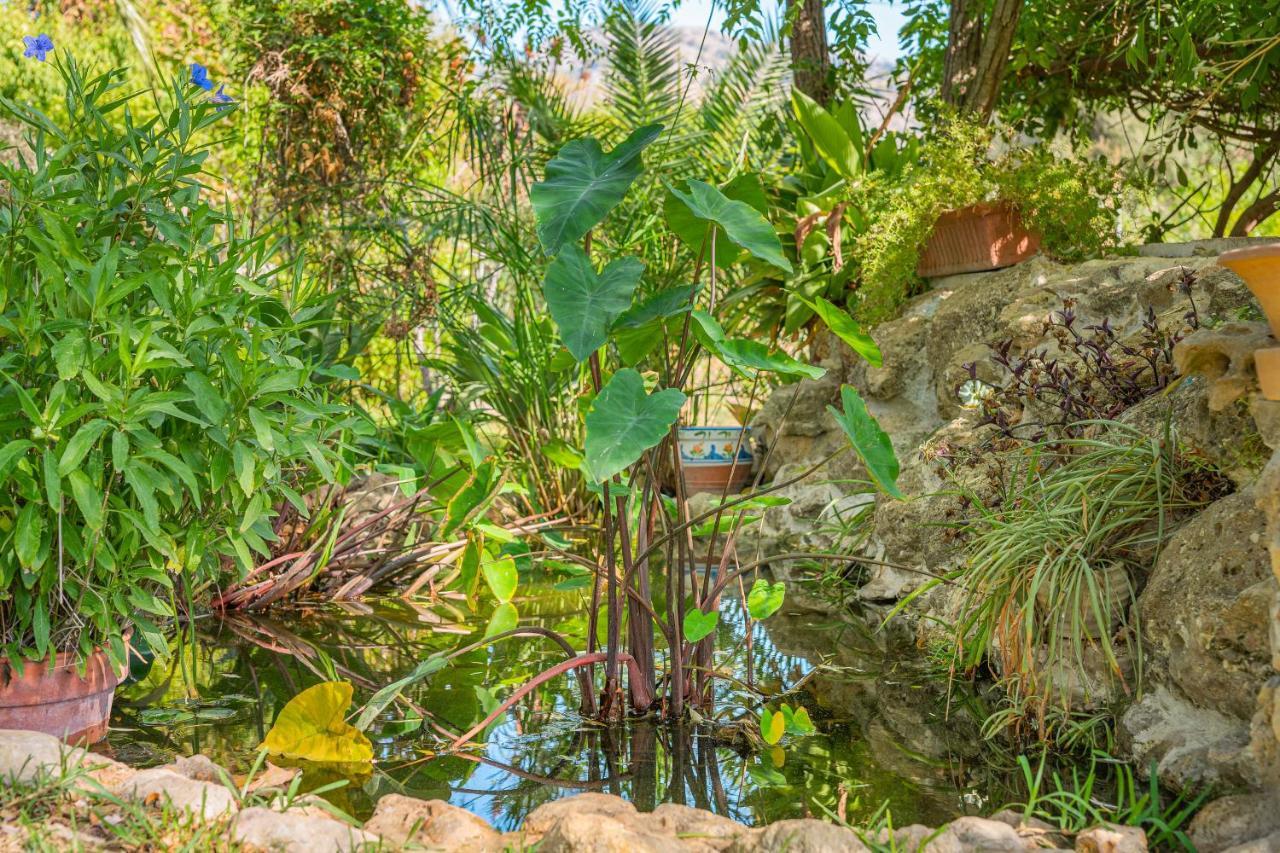 Finca Alqueria Campanet Bagian luar foto